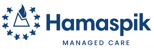 Hamaspik logo